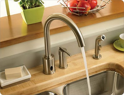 Danze Hands Free Kitchen Faucet With Spray