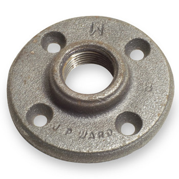 2-1/2 in X 7 in Cast Iron Companion Flange 125Lb