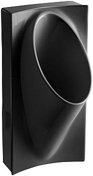 Kohler K-4918-7 Steward Waterless Urinal - Black