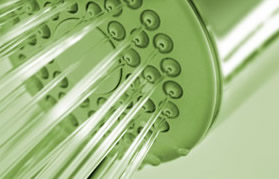 Go Green In Your Bathroom